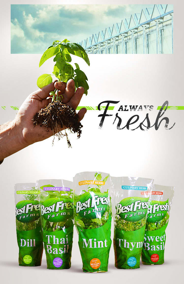 best fresh bestfresh green organic Plant farm farms greenhouse hydroponic Herb herbs mint Basil