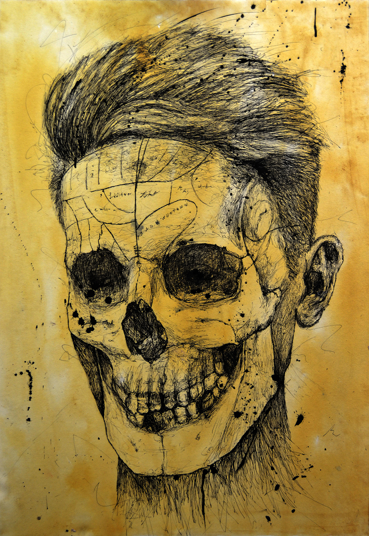skull ink pen tea stained anatomy