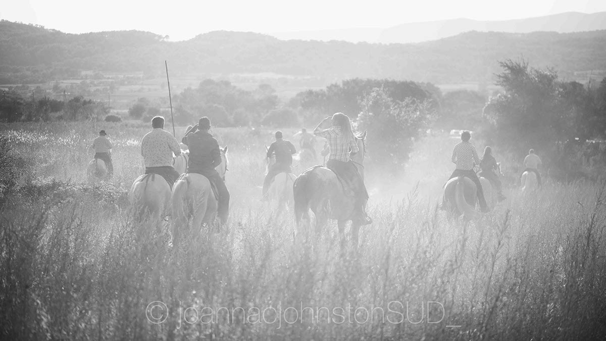 black and white Photography  france Camargue manade Horse Photography female Outdoor gardian