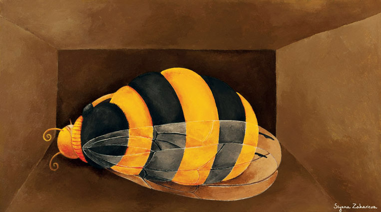 children's illustration editorial book bee