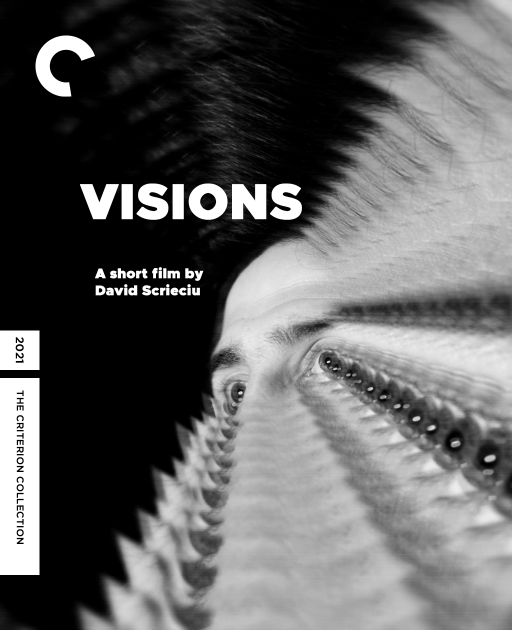 Criterion Collection movie poster Film   cinematography Advertising  video