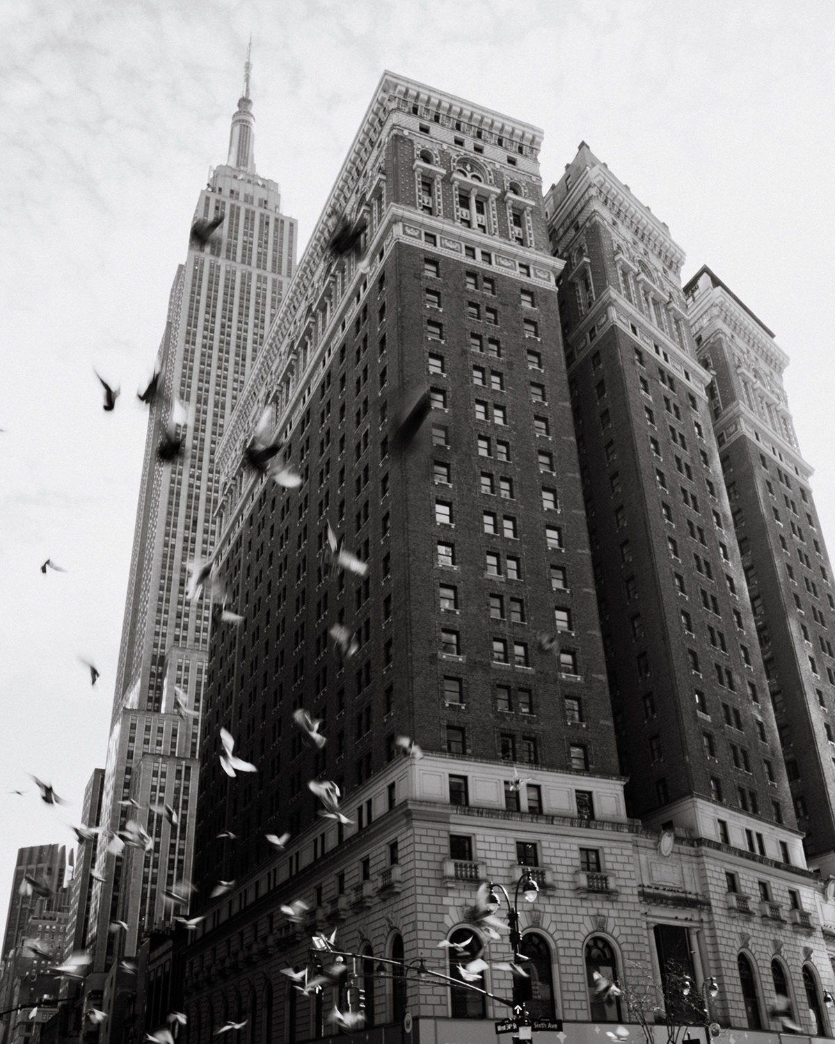 newyork Leica Street Photography  photographer portrait lightroom streetart