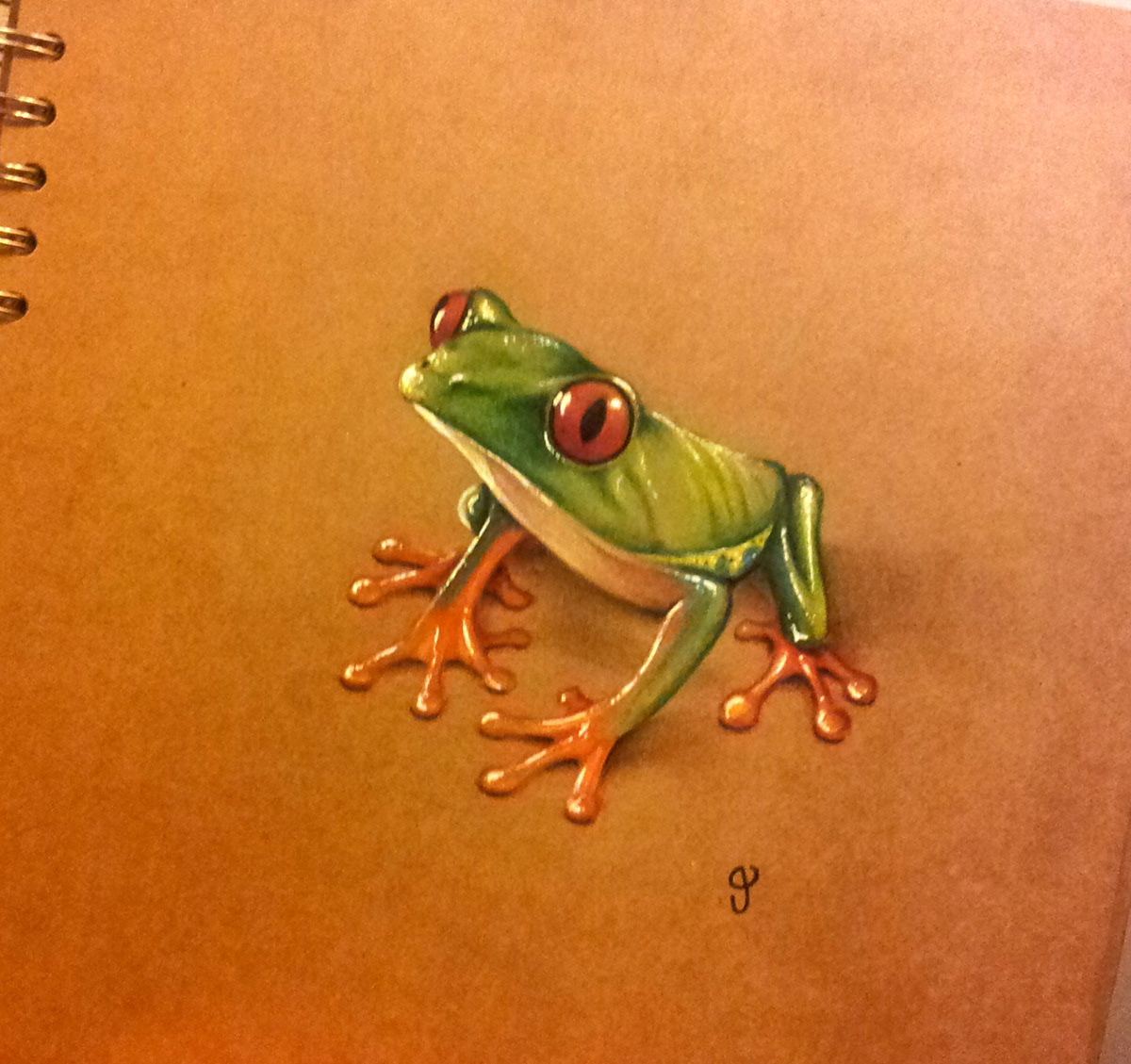 frogs pencil design wildlife