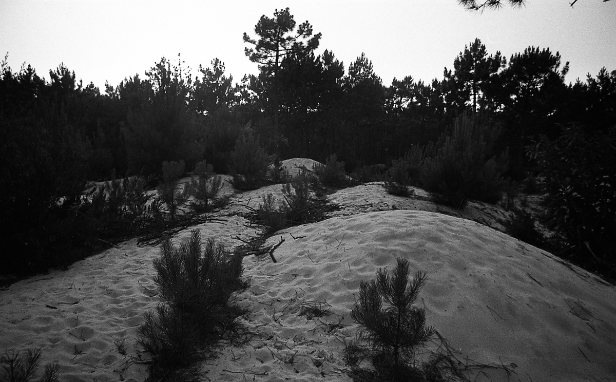 dolce vita Portugal norte north black and White 35mm Shopping florest Nature structure