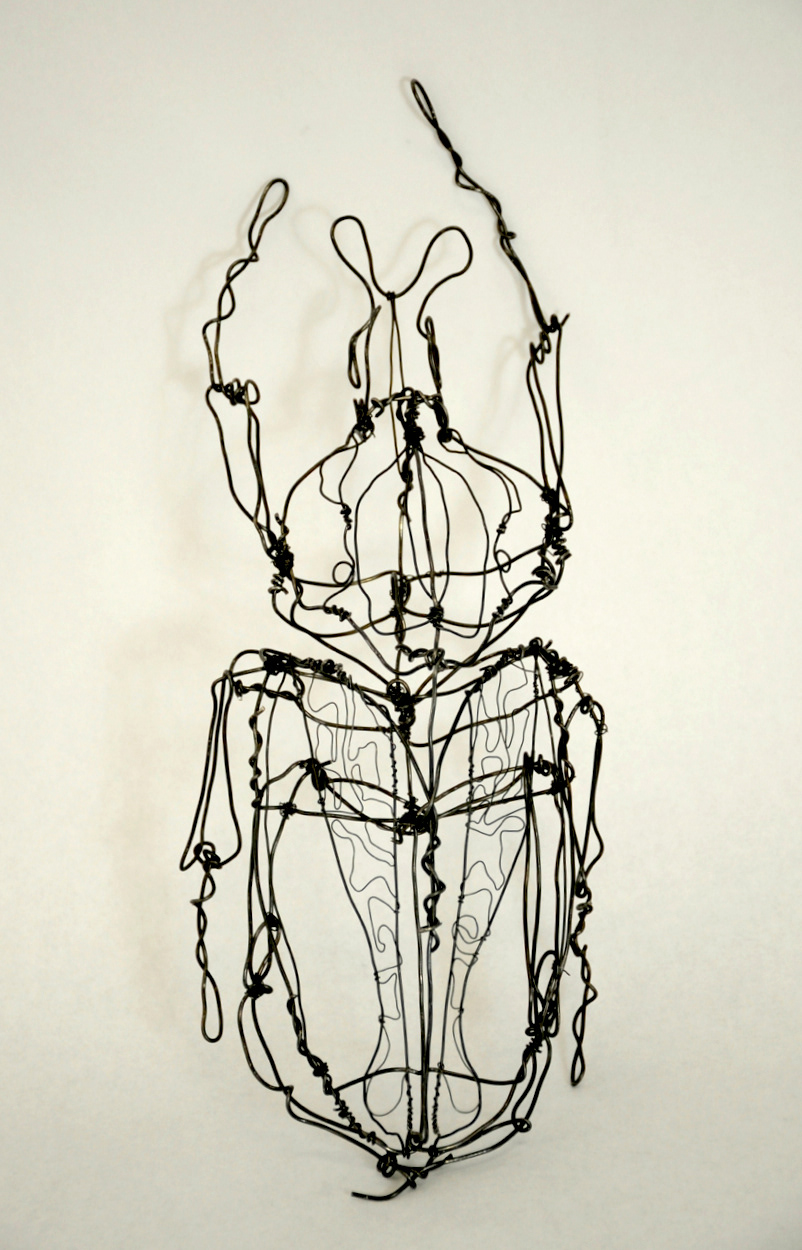 beetle goliath insect wire sculpture
