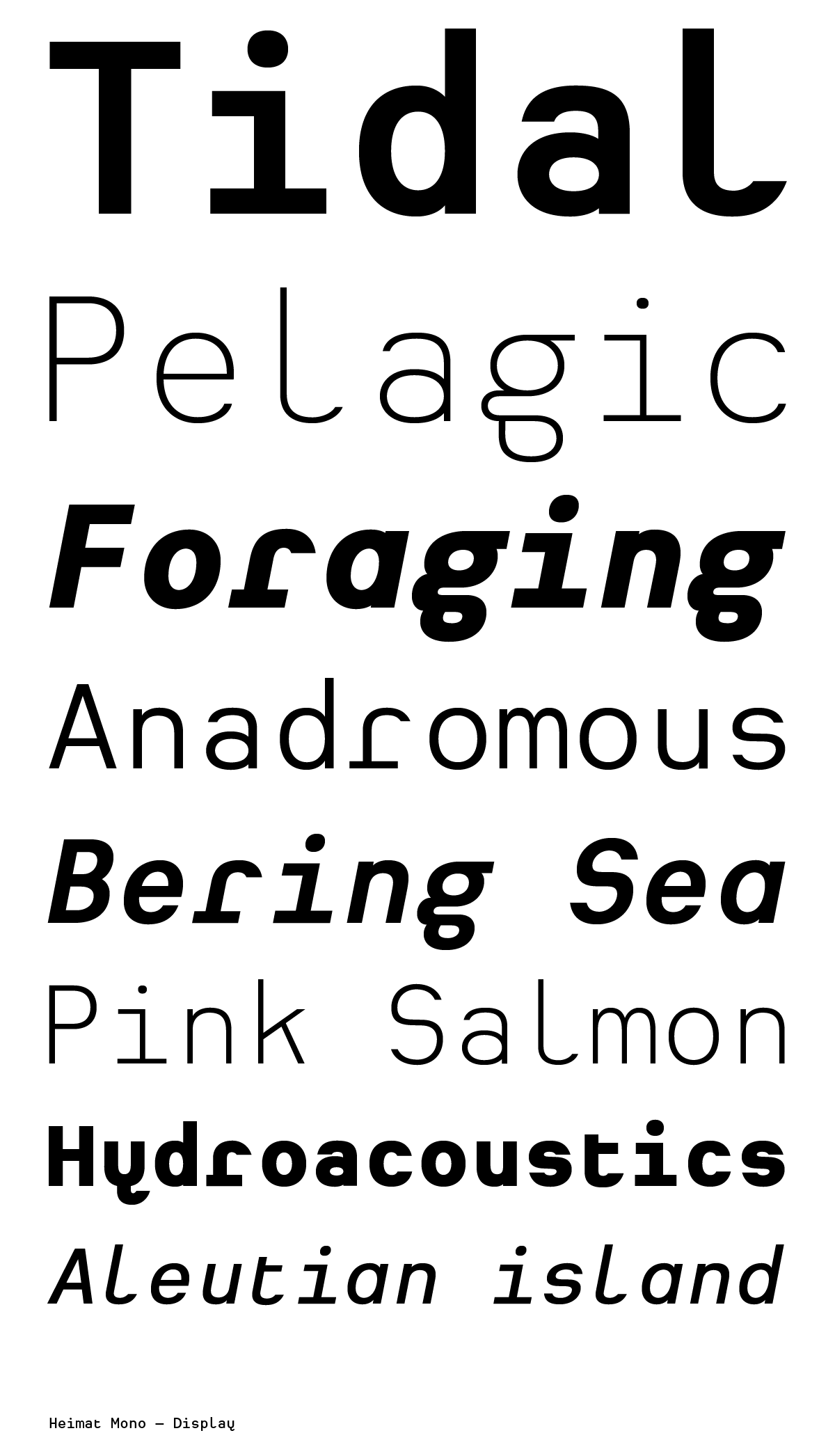 font Typeface type design Atlasfonts Atlas Font Foundry monospaced sans serif