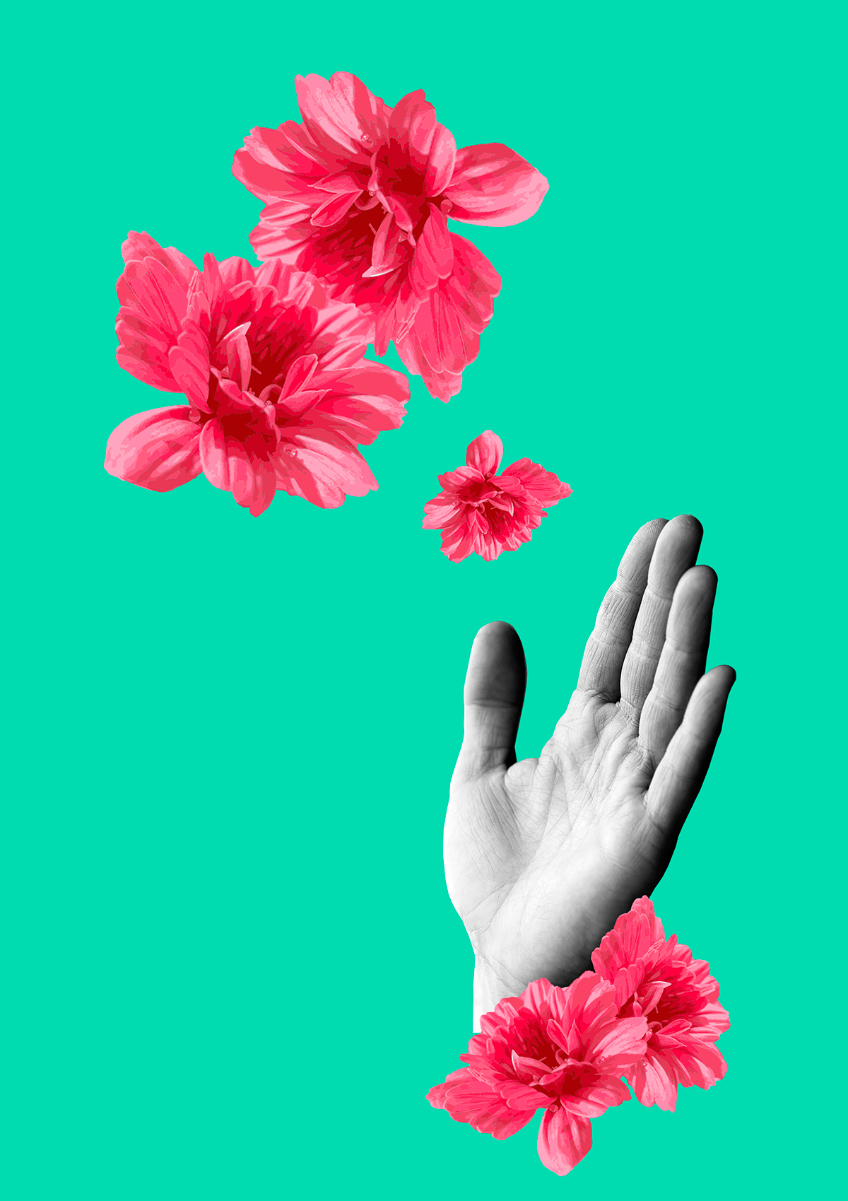 colagem collage Ilustração hand flower rose