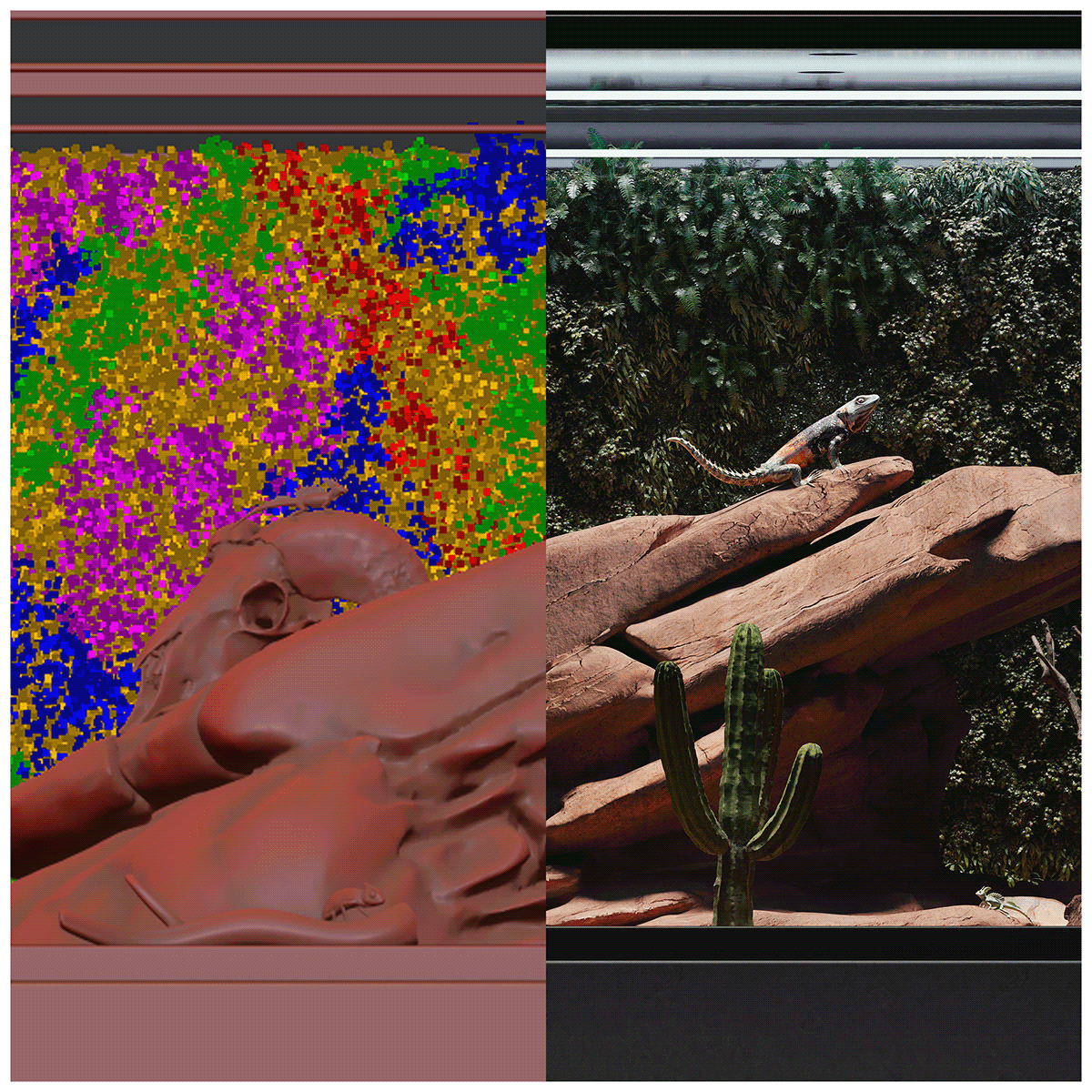 3dsmax box CGI corona Nature realistic Render reptile visualization vray