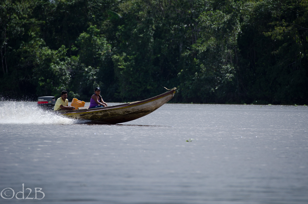Delta river people Yoga venezuela indians canoe birds Nature trees star stars Skye water