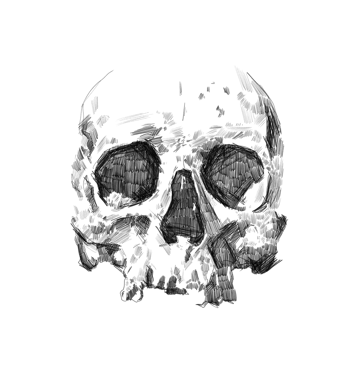 skull drawings sketch illustrations watercolor typo lettering