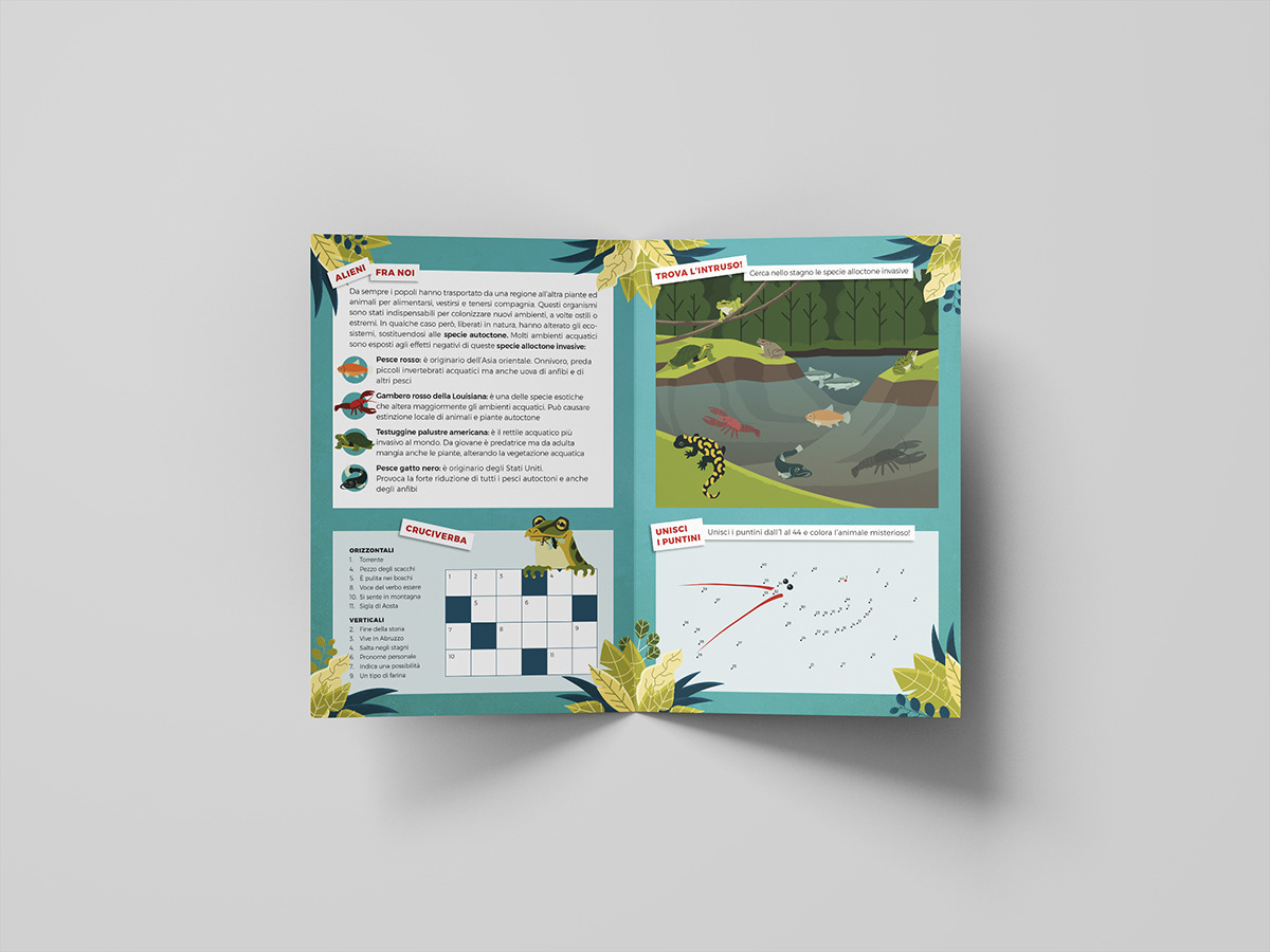 Amphibian brochure Character design  digital illustration environment game graphic design  ILLUSTRATION  Popular Science Vector Illustration