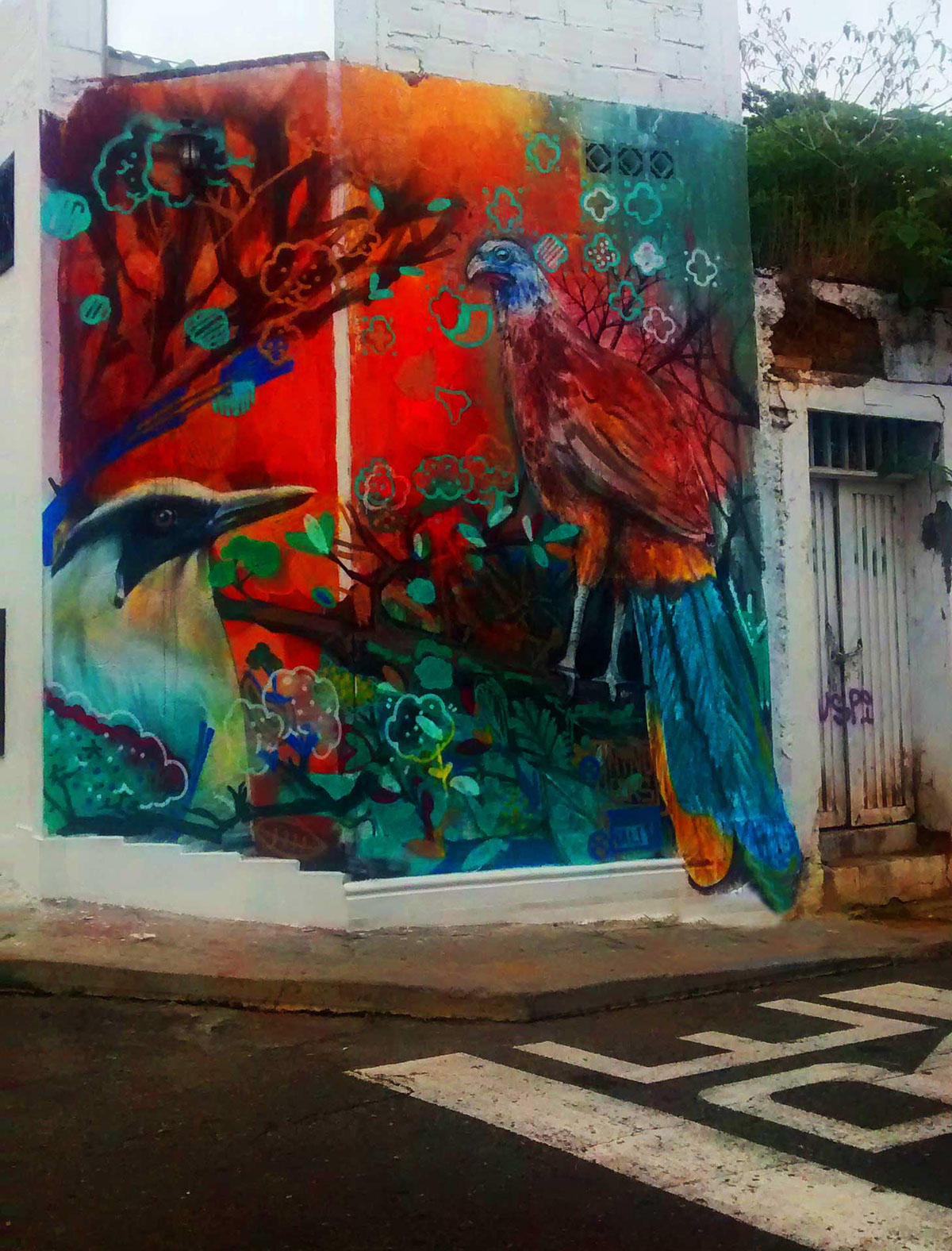 streetart Mural Graffiti art streeet Photography  Travel Phototravel colombia mexico