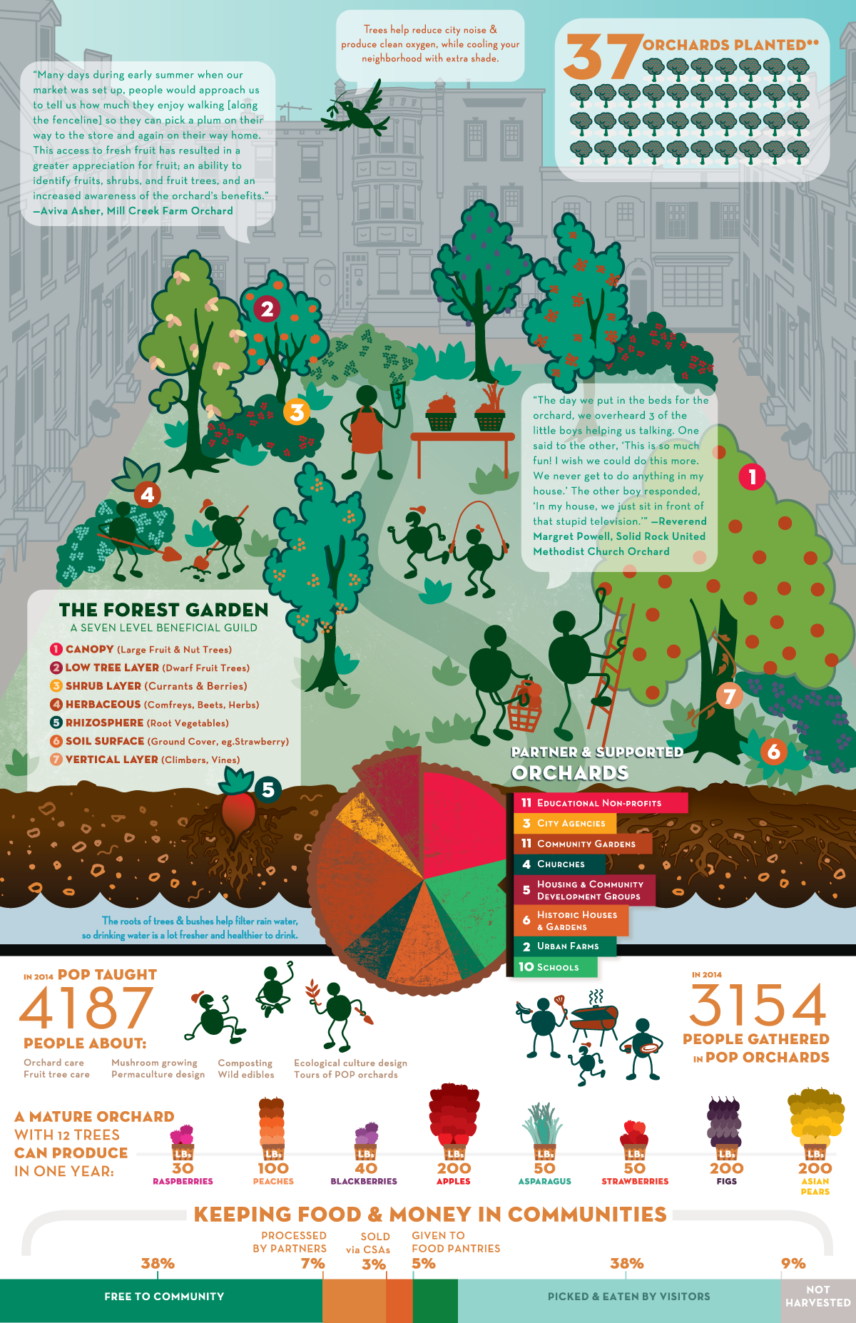 Adobe Portfolio Philadelphia Orchard Project infographic orchards Urban Orchards Community Engagement