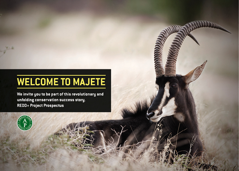 Majete malawi animals Park reserve brochure print infographics infographs Layout greenhouse Nature carbon editorial magazine