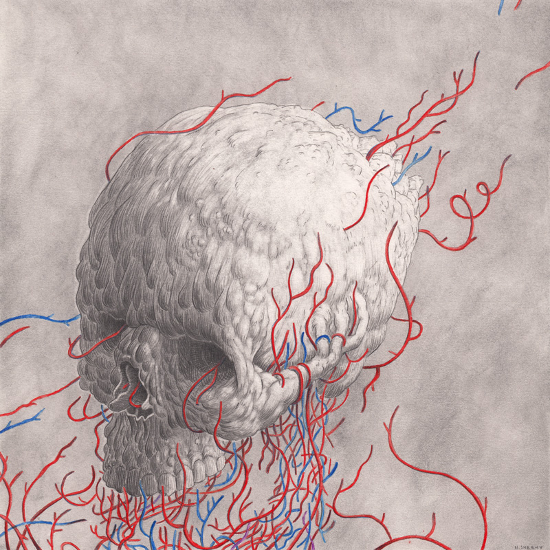 skull vein anatomy graphite pencil paper surreal weird creepy