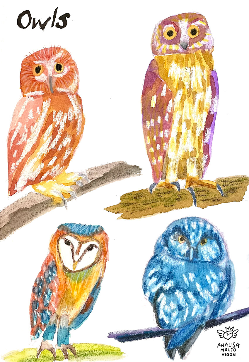 owls animals Nature ILLUSTRATION  Colourful  colour color oil pastels art sloths