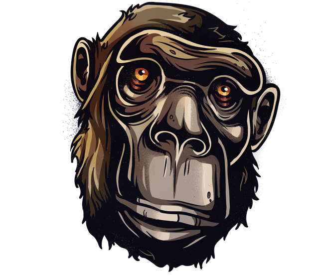 apes monkeys Simians portrait characters primates chimpanzee