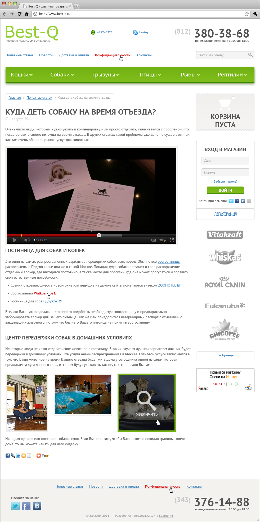Pet shop Best-Q Cat dog Food  Web Webdesign Ecommerce commerce eshop