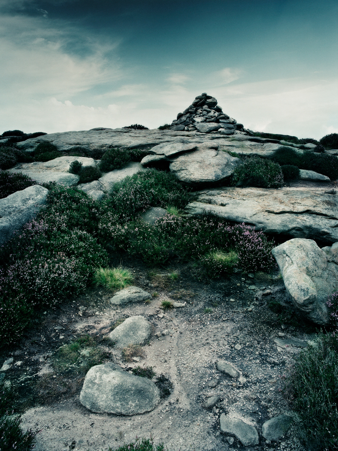 Milliken landscape photography Mamiya RZ67 shot on film