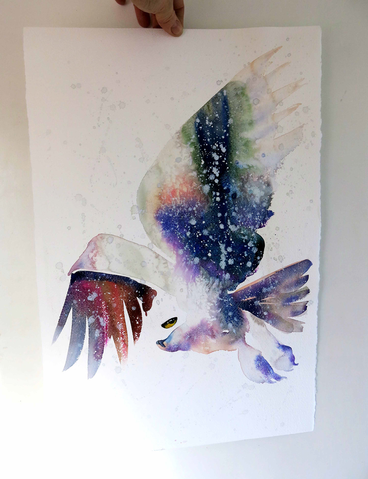 watercolor The snow owl turning