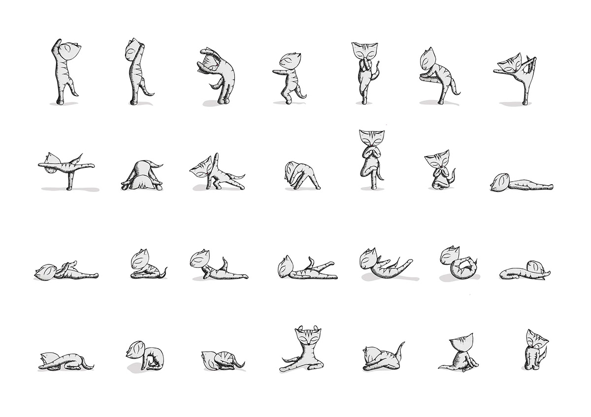 cat illustration cat drawing cat yoga yoga diagram yoga instruction