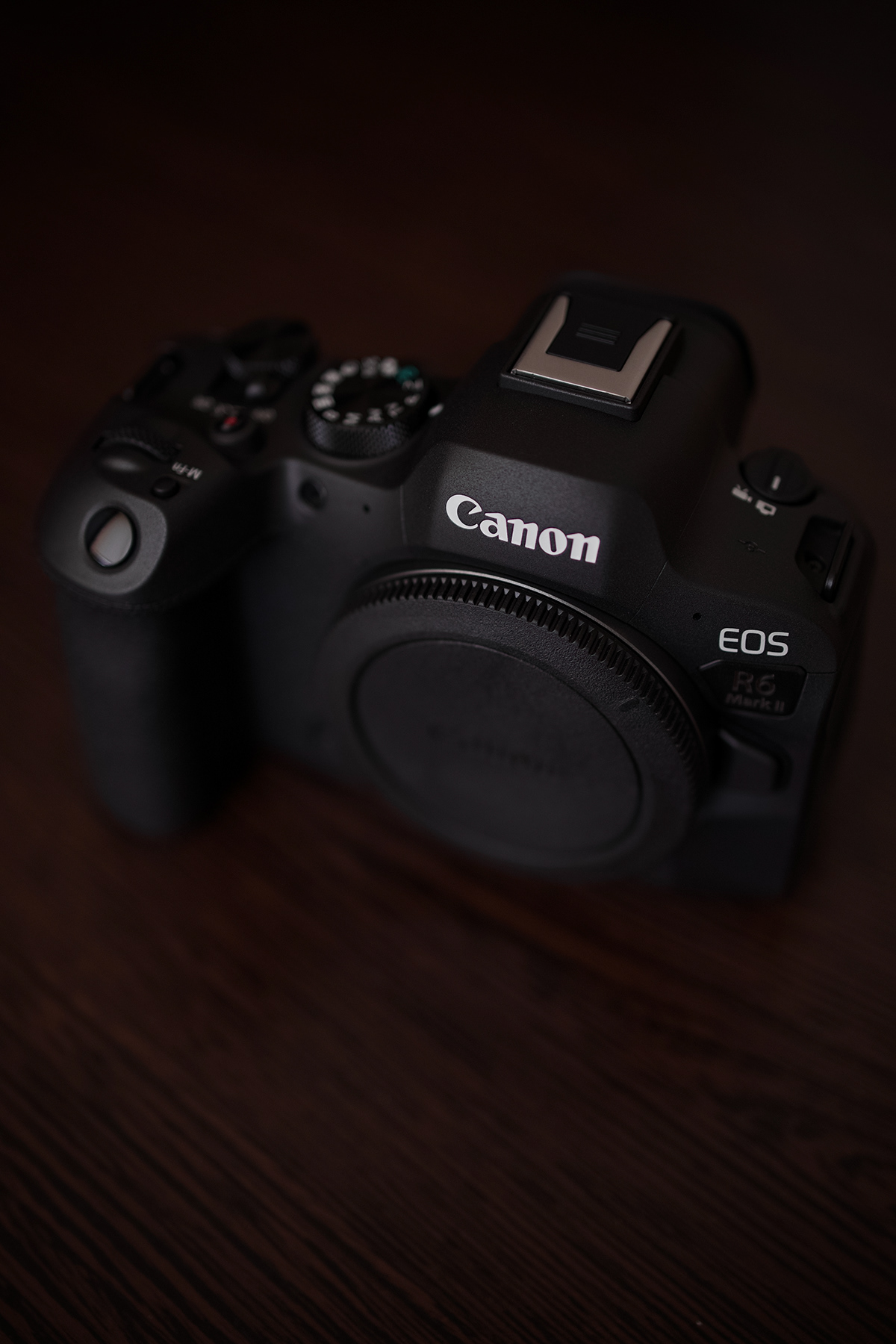 Canon canon camera Canon EOS R canon EOS r6 mkii