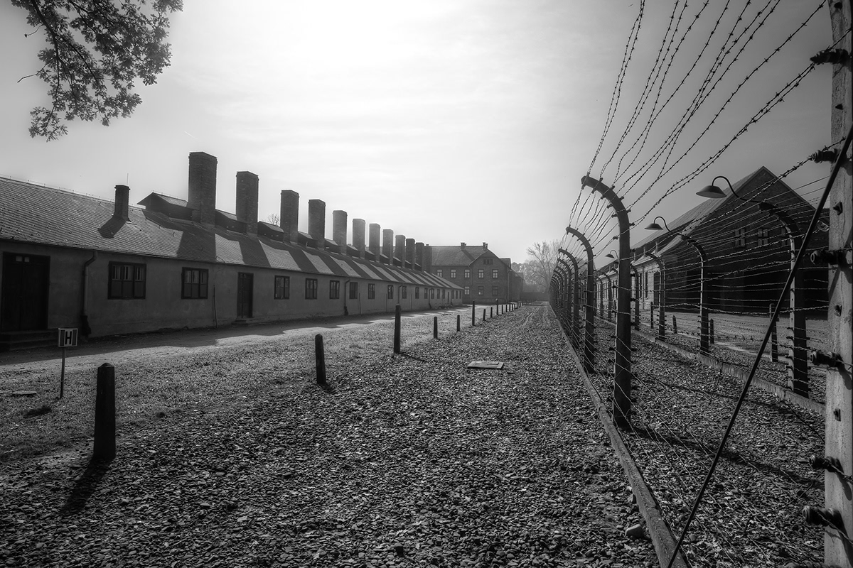 auschwitz birkenau poland Concentration Camp nazi WWII black and white