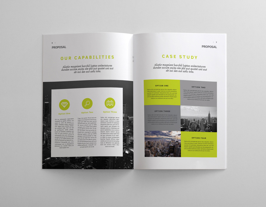 Proposal business company corporate various clean InDesign