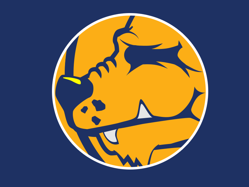 college  university  team  logo  hyena football  branding  sports