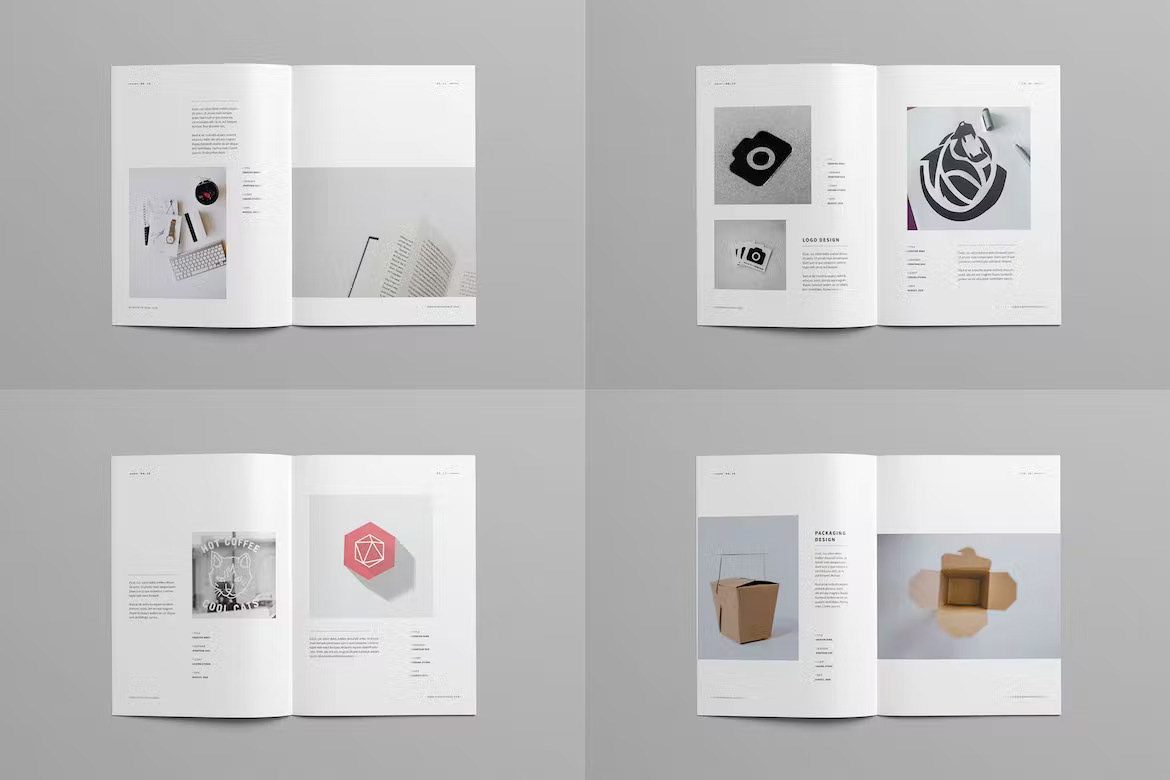 branding  brochure catalog editorial InDesign Layout magazine portfolio print template