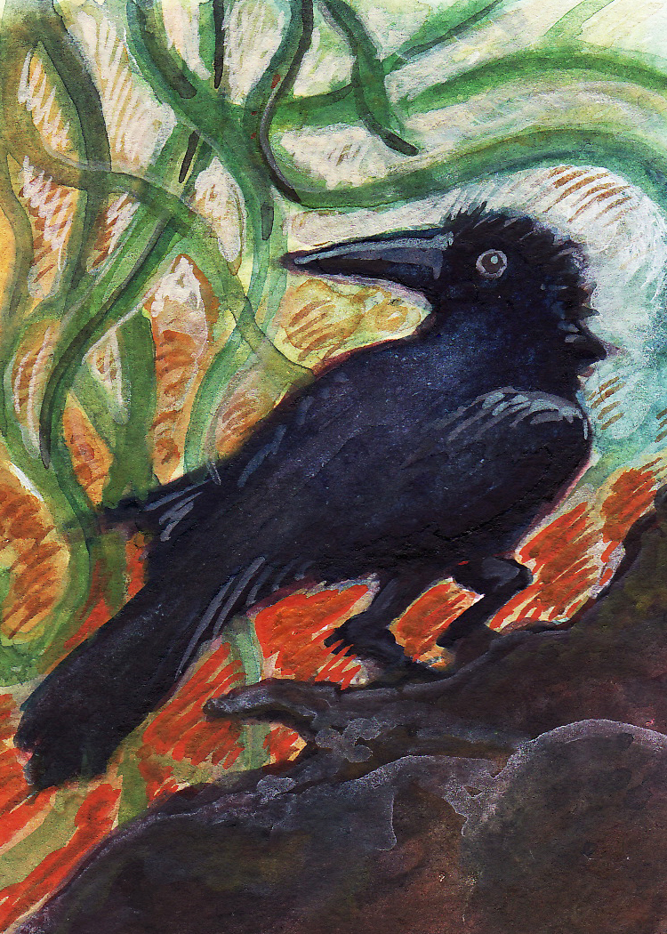 raven bird crow watercolor