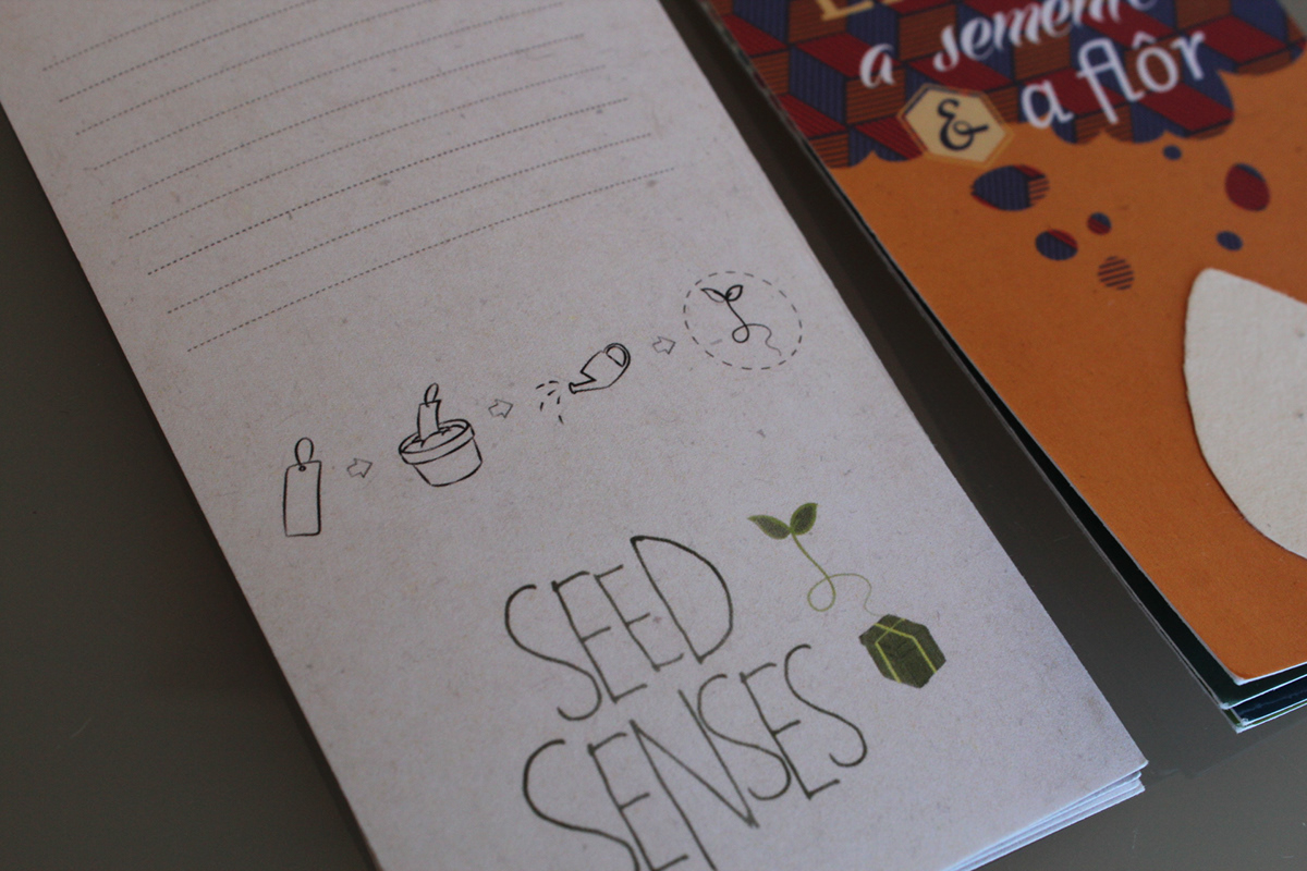 cards cartões Padrão padrões pattern Patterns typo seeds seed semente sementes paper seed papel sementes present presente