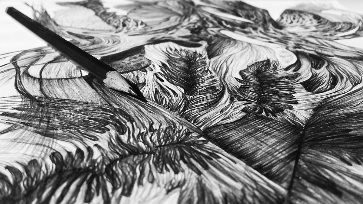 bio Nature awesome art Nonsense illustrationclothing draw Beautiful ink design blackandwhite Brasil Clothing print