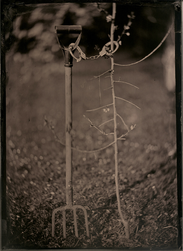 wet plate collodion Ambrotype Alternative Photography large format photography art photography