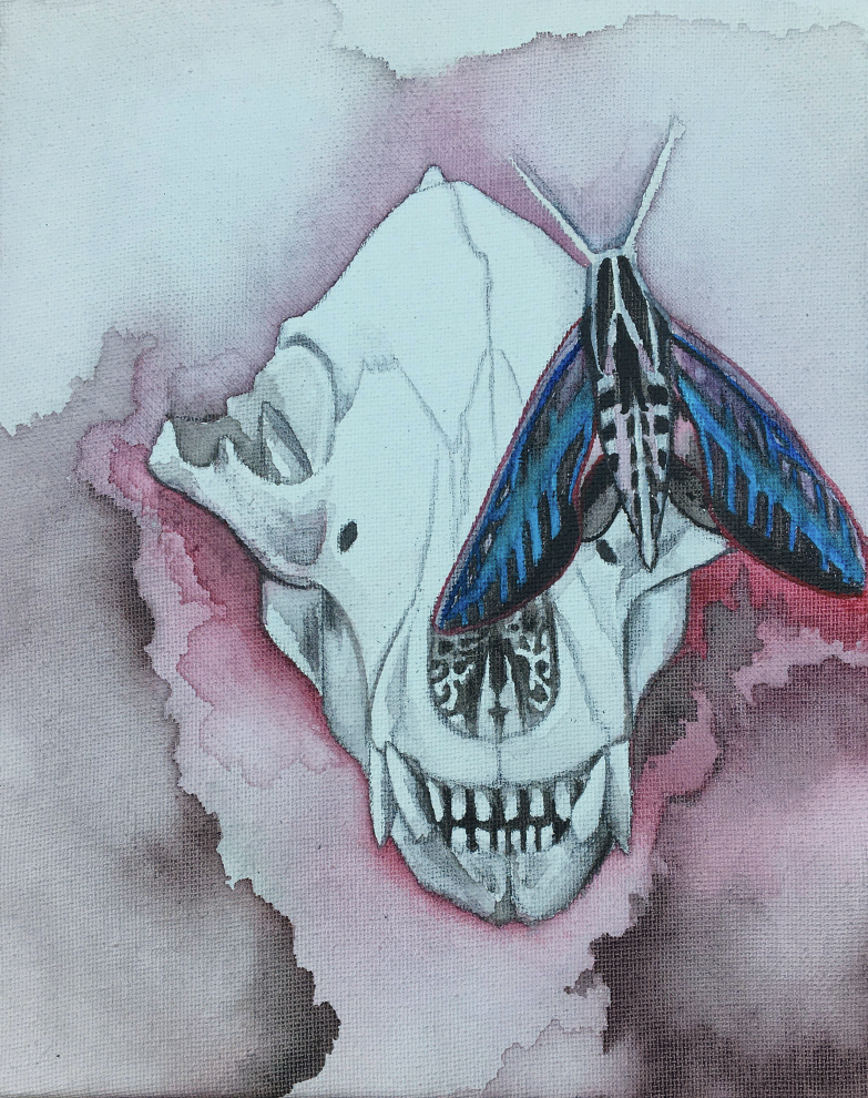bear sphinx moth watercolor