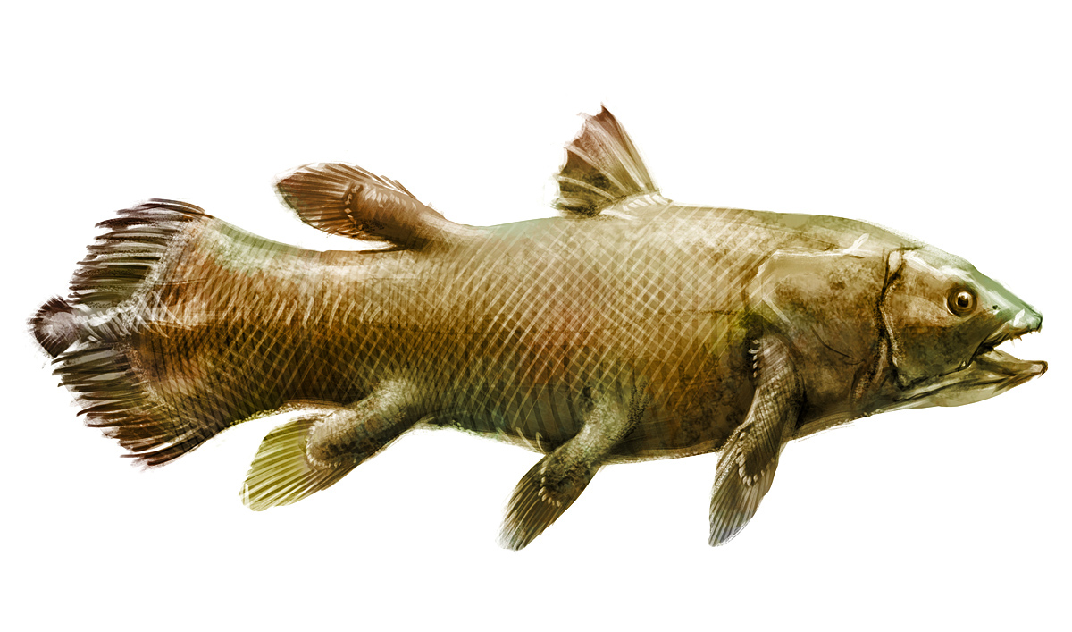 fish paleo Ancient animalism