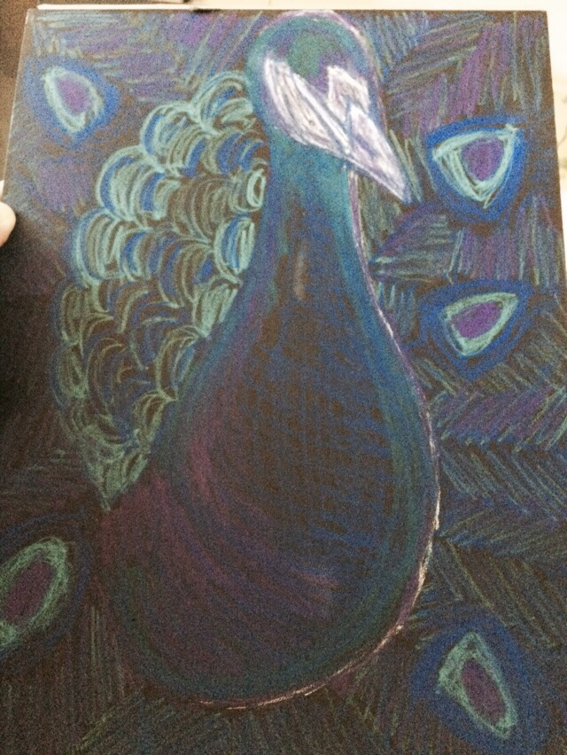 peacock Drawing  black paper