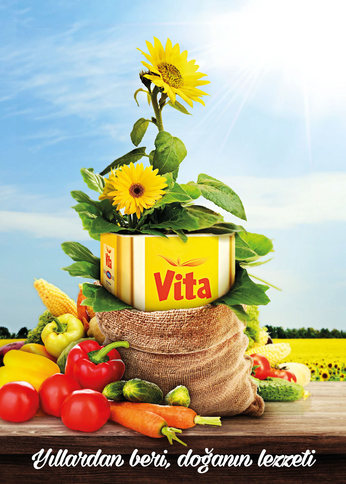 vita sunflower oil newspaper