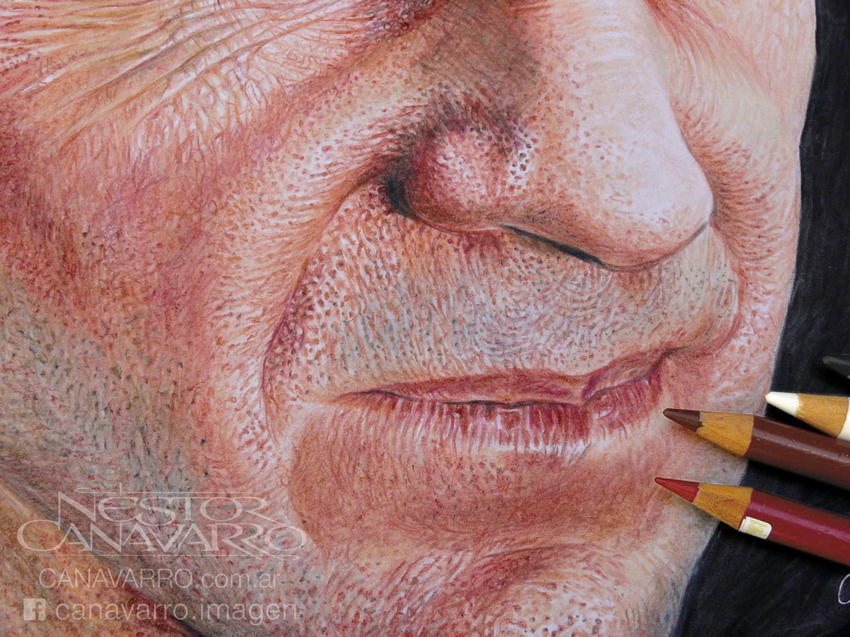 ralph fiennes pencil color pencil Drawing  portrait ILLUSTRATION  dibujo lapices de colores retrato hyperrealism