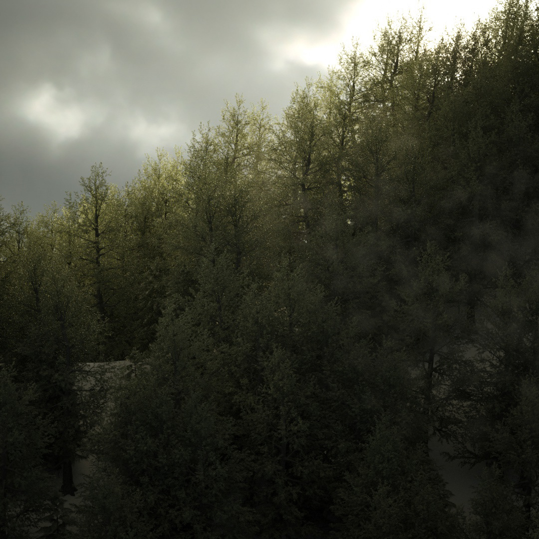 Landscape Nature cinema 4d forest 3d modeling Render octane 3D after effects forester
