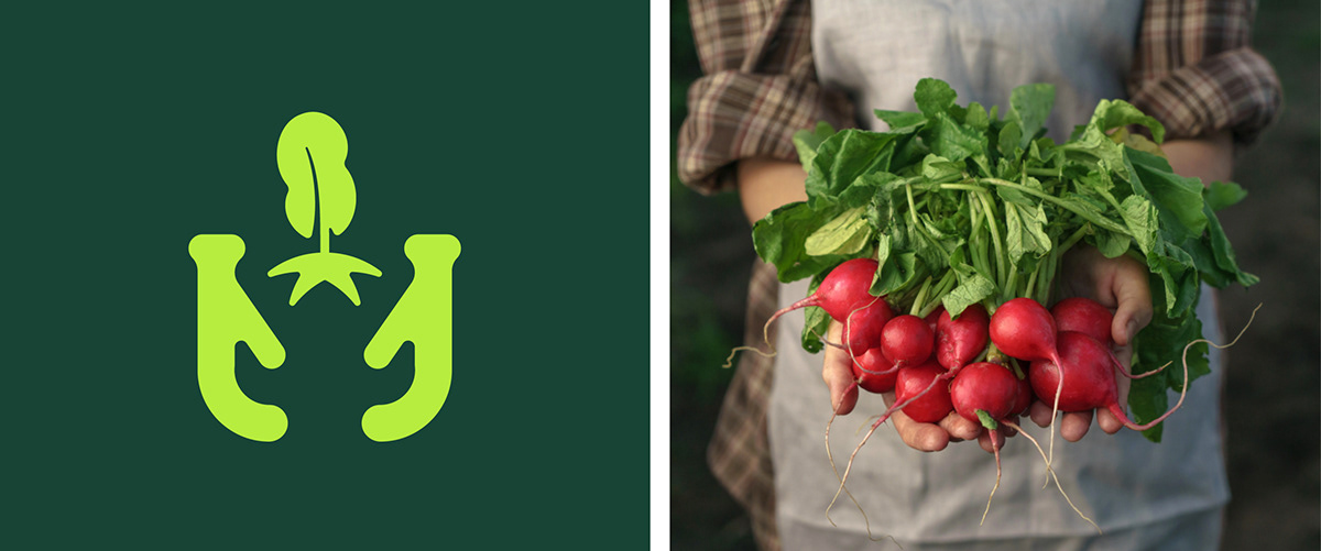 brand identity branding  Logo Design organic Food  Fruit vegetables Packaging juice packaging design