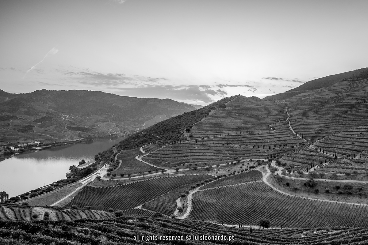 foz côa vineyard Portugal winemaking