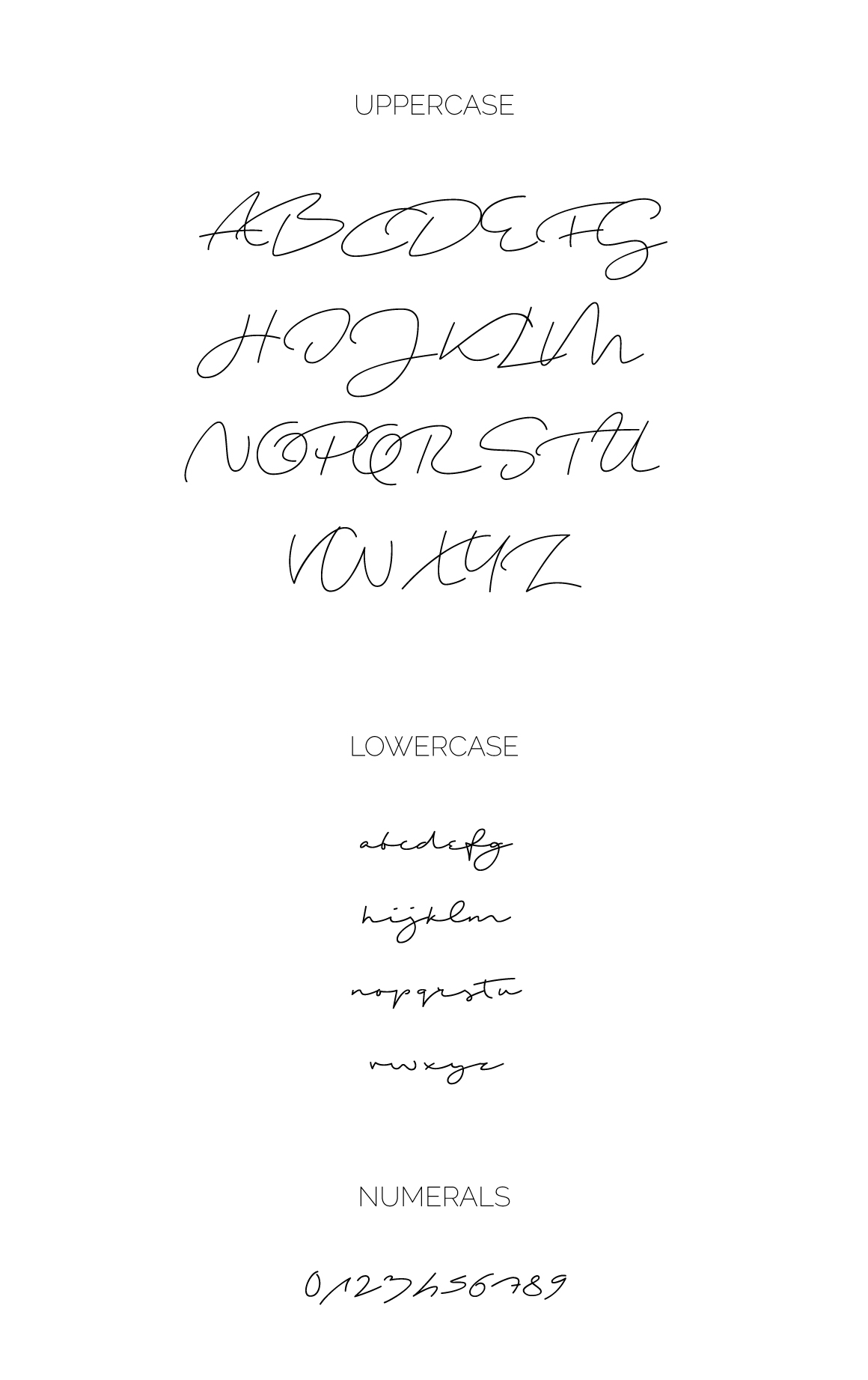 free font fonts freebie Script handwritten Shopping typography   Calligraphy   logo