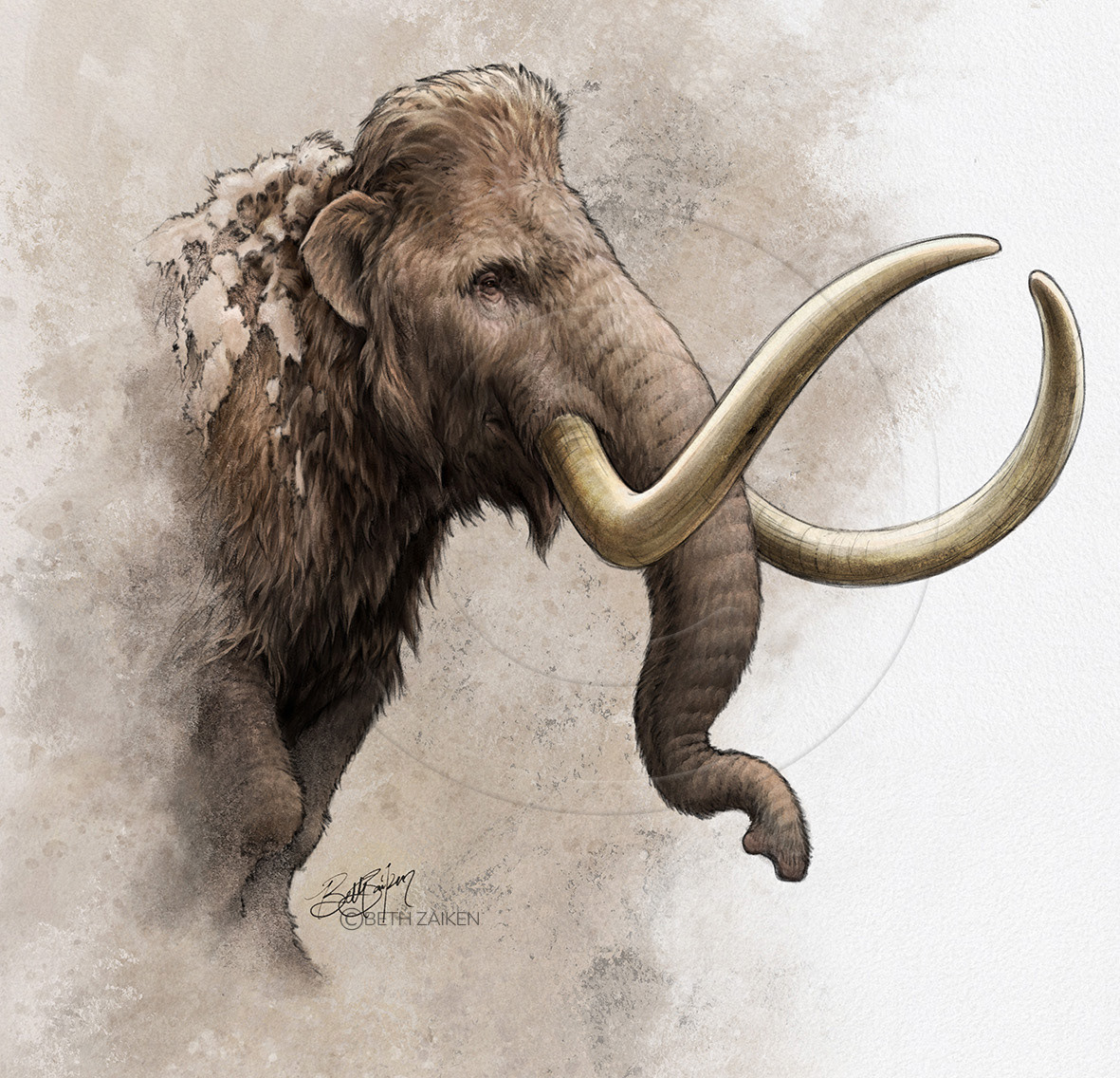 Dinosaur ice age infographic information design mammoth natural science paleoart prehistoric science communication Tusk