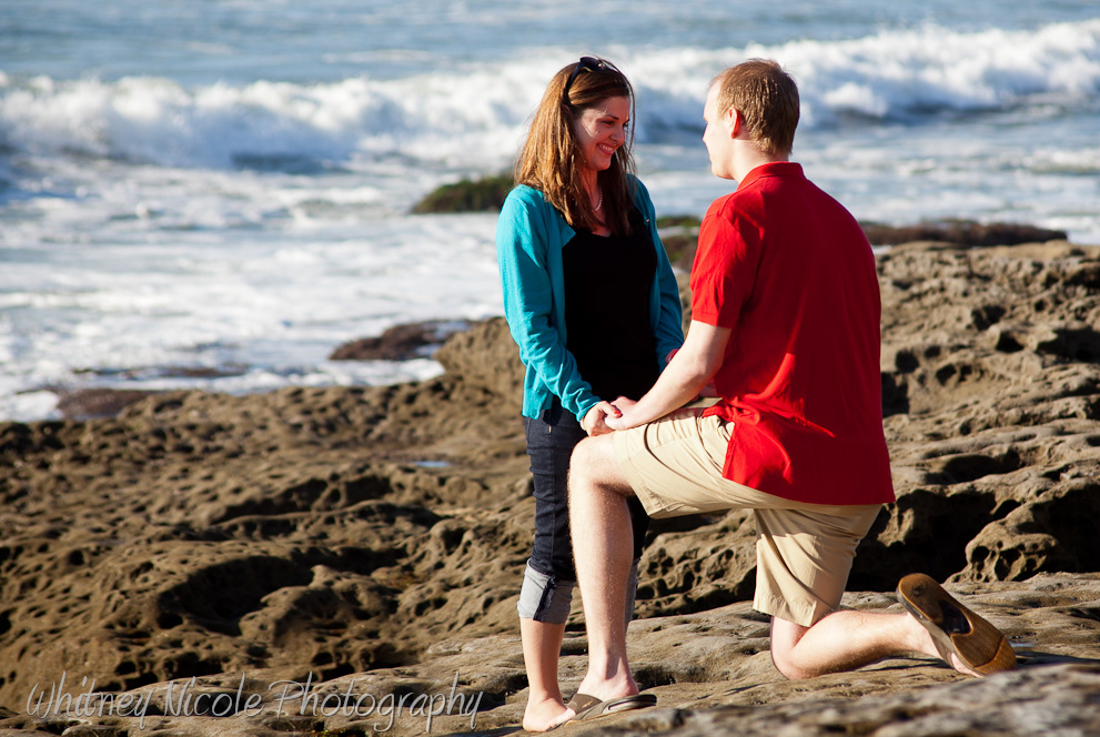 Nathaniel & Erin  engagement  proposal  surprise