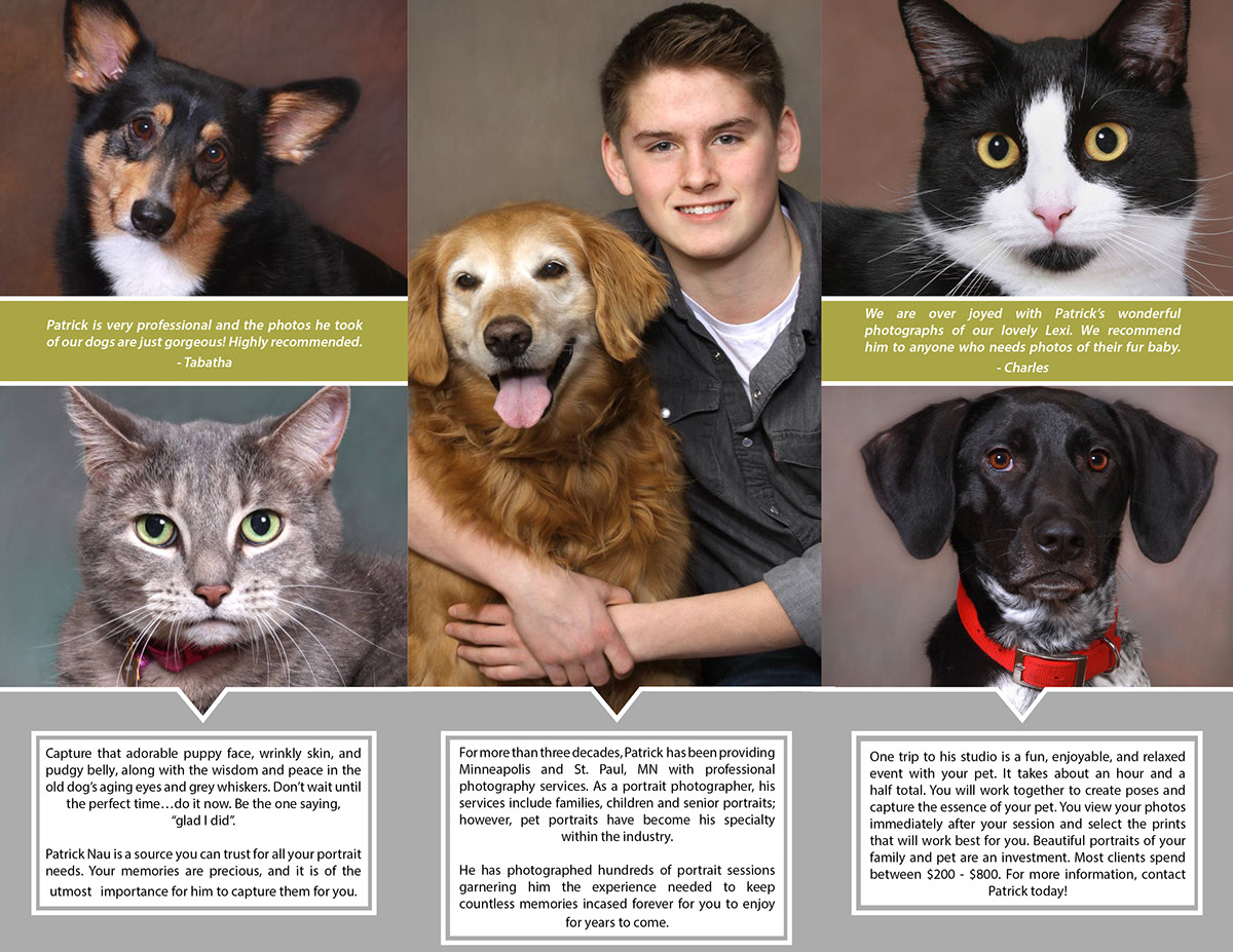Adobe Portfolio Photography  pets brochure graphic design  Advertising  concept