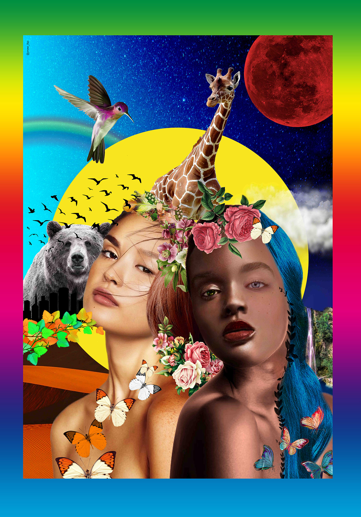 animales art arte collage desig diseño gráfico Flowers graphic design  naturaleza Nature