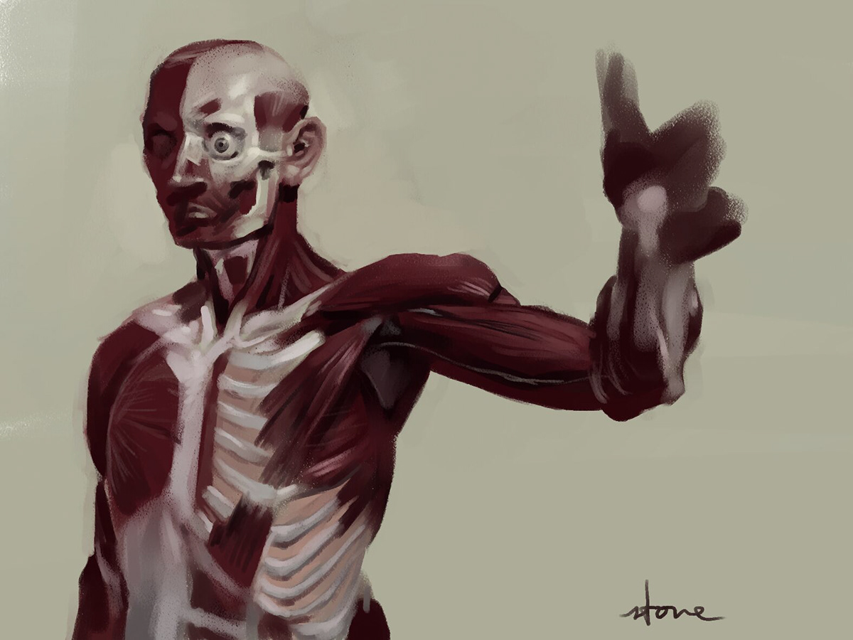anatomy artist body digital illustration human medical illustration painting  