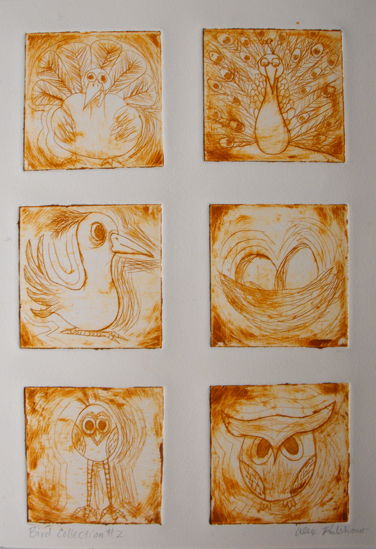 printmaking birds etching linocut