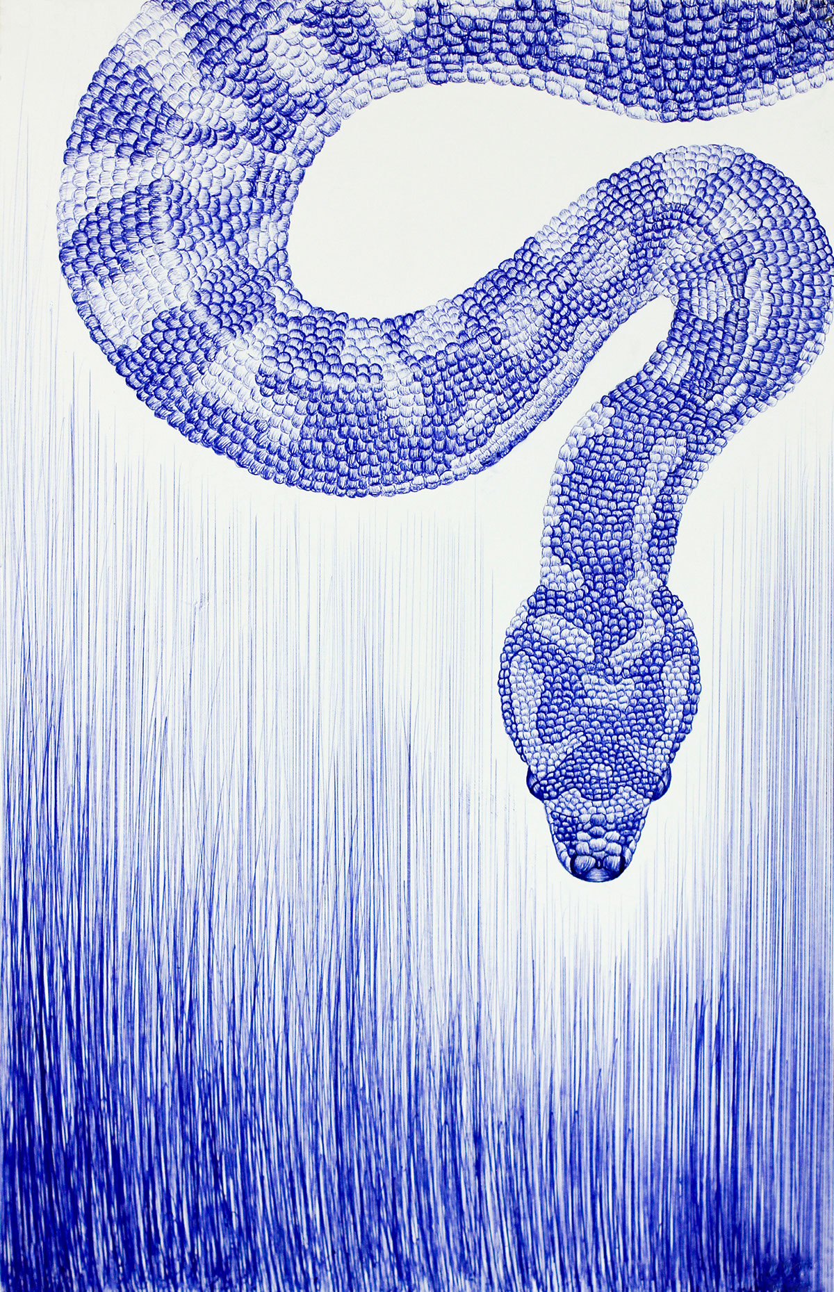 snake bic ballpoint pen art